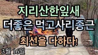 [지리산한잎새]더좋은 먹고사리종근의 하루, 영상일기