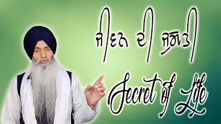 Secret of Life - ਜੀਵਨ ਦੀ ਜੁਗਤੀ #WhySeries Bhai Sahib Singh