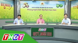 Tư vấn khuyến nông - 21/6/2019 | Tập đoàn Lộc Trời | THDT