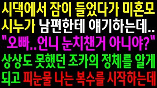 (실화사연)시댁에서 잠이 들었다가 미혼모 시누가 남편한테 얘기하는걸 듣게되는데..상상도 못했던 조카의 정체를 알게되는데..[신청사연][사이다썰][사연라디오]