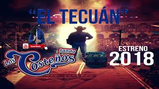 Estreno 2019 ! Banda los Costeños - El Tecuan (Corrido)