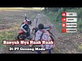 HEADSHOT RUAK RUAK SAKTI‼️AMPUH #Google #youtube #video #berburu #ruakruak #ampuh #sakti