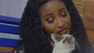 Pon Mi x Domino Remix FULL VERSION - Shenseea x STRAY KIDS MV (TikTok) pussy tight pussy pussy fresh