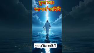 দুনিয়ার অদ্ভুত প্রশ্ন মুসা আ:করা হতো কেন?#মিজানুর রহমান আজহারী