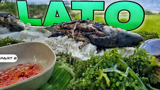 P2 - Sariwang Lato - EP1662