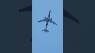 Delta logo on Delta Airplane