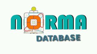 Norma Database Formulation