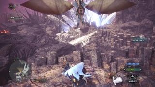 Monster Hunter　魔物獵人　擴散彈　重弩　歷戰炎王龍