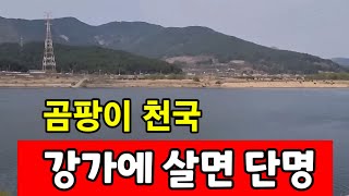 [다시보기] 강가에 집 짓고 살면 단명 한다 ♧ 곰팡이와 벌레 천국