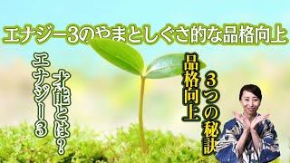 エナジー３の才能とは？エナジー３のやまとしぐさ的な品格向上３つの秘訣とは？【やまと情報推命学】