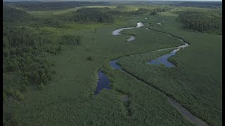 Mazury garbate