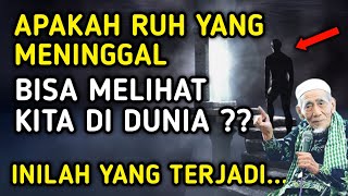 BENARKAH RUH KELUARGA YANG MENINGGAL BISA MELIHAT KITA DI DUNIA?? | TERNYATA INILAH SEBENARNYA...