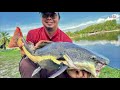 Setup PADUUUU + Cara guna Baitrunner Reel