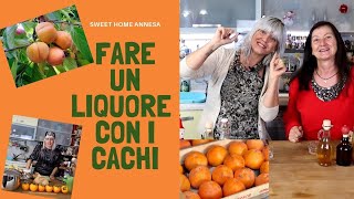 Come fare un liquore fatto con i cachi-due versioni