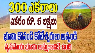 300 ఎకరాలు వ్యవసాయ భూమి అమ్మబడును | Agricultural Land Sale | రూ.ఎకరం 5 లక్షలు | Arun Surya Estate Tv