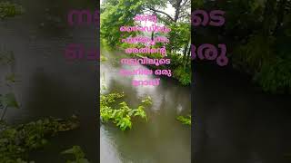 മഴക്കാലത്ത് പുഞ്ചപ്പാടം കാണാൻ എന്തു രസമാണ്