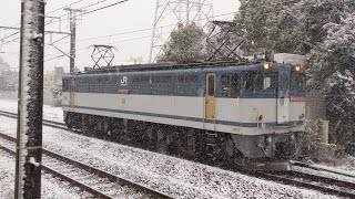 【大雪と大宮更新色】JR貨物 EF65 2060号機 新A30仕業[単2491レ] 梶ヶ谷タ行 川崎新町駅通過！