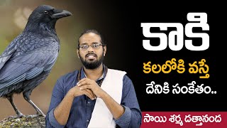 కాకి కలలోకి వస్తే దేనికి సంకేతం || Mythological Facts About Dreams || Crow In Dreams || SS