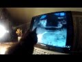 Kassivideo