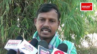 Bargarh tv:- the gold crop  on the tangara land - sambalpuri news