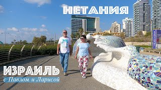 Израиль | Средиземное море | Нетания | Био объекты набережной и древняя сикомора