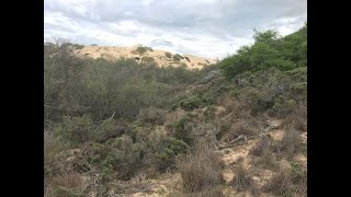 Coon Creek Native Plant Hike