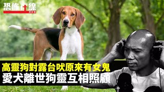 停辦盂蘭盛會遊魂野鬼點算好？高靈狗對露台吠原來有女鬼！愛犬離世狗靈互相照顧！(恐怖在線重溫 第3028集)