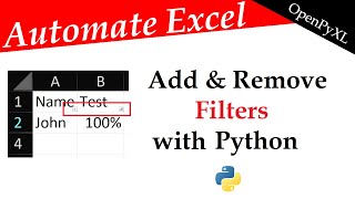 Automate Excel Filters in Python | OpenPyXL Tutorial