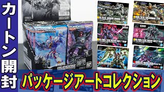 【ガンダムガンプラパッケージアートコレクション チョコウエハース第8弾】カートン大人買い開封レビュー！不明だったレアカードが判明。ホロ5種類、レアカード2種類のコンプリートを目指す！【バンダイ・食玩】