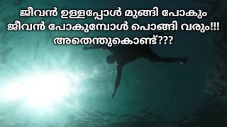 എന്തുകൊണ്ട് ശവ ശരീരം വെള്ളത്തിൽ പൊങ്ങി കിടക്കുന്നു. Why Dead Body Float above water ?