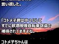 【dqn返し】トメ「顔も頭もあんたに似ちゃったのね～」と娘の悪口まで言われキレた私。結果→トメ号泣ｗｗｗ　　姑　ヨメトメch