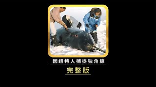 因紐特人腌海雀，捕獲獨角鯨靠長長的觸角補貼家用 #即錄觀世界 #紀錄片 #電影 #北極 #因紐特人