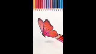 【彩鉛教學】彩鉛保姆級教程蝴蝶的畫法丨color pencil drawing