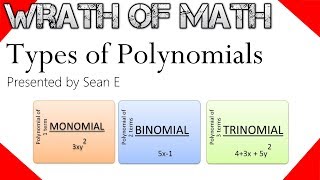 What are the Types of Polynomials? (Monomials, Binomials, Trinomials)