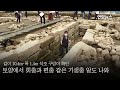 경복궁서 150년전 조선시대 공중화장실 발견…기생충알도 나와 연합뉴스 yonhapnews