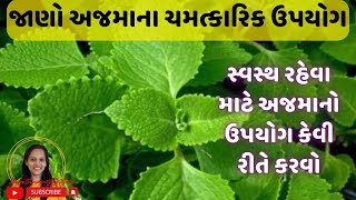 અજમા ના ફાયદાઓ | અજવાઈન ના ફાયદાઓ | Health benefits of Ajwain | Ajmo Khava na Fayda