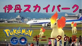 ポケモンGO！ 大阪空港の公園、伊丹スカイパークのポニータの巣に突撃調査！ 【兵庫県伊丹市】 Pokemon GO