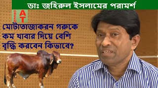 কম খাবার দিয়ে গরু বেশি মোটাতাজা করবেন কিভাবে | balance cow feeds