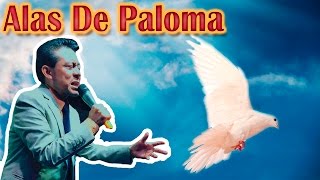 Alas de Paloma-Julio Elias