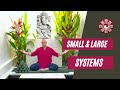 Small vs Large Qigong Systems