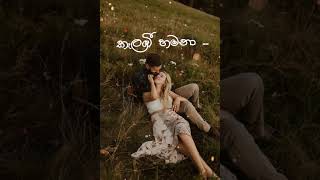 කැලබී හමනා / Kelabi hamana / Nimanthi Chamodini sinhala song