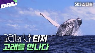 [티저] 국내 최초! 당신 눈앞에 펼쳐지는 신비한 고래의 세계🐋'고래와 나' | SBS스페셜