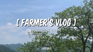 20대 청년농부의 귀농브이로그│조금씩 하나씩│닭장만들기│시골일기│Farmer’s vlog