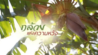 Ep.12 ภาพยนตร์สารคดี สหกรณ์การเกษตรบ้านลาด จำกัด อ.บ้านลาด จ.เพชรบุรี