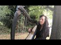 Celtic Harp - O'Carolan's Cottage