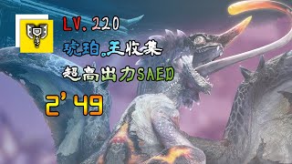 [MHR:SB]Ver.14|LV.220 EX.8|Risen Chameleos|Charge Blade|SAED