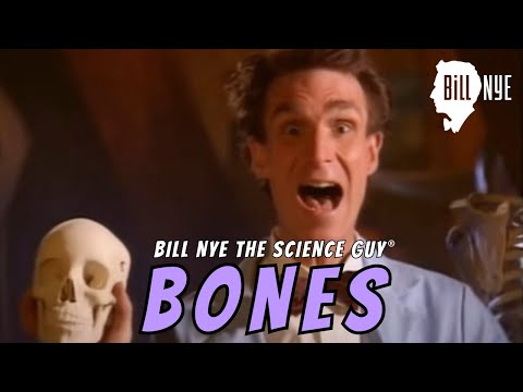 Bill Nye The Science Guy On Bones Full Clip Youtube
