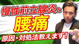 【慢性前立腺炎】慢性前立腺炎と腰痛の関係性。痛みの原因と解消法教えます！#34