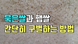 햅쌀 묵은쌀 차이,  구별하는법