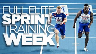 Elite Sprint Training Week | Road To 20 ³